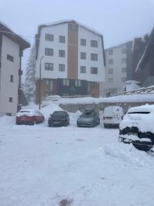 亚霍里纳Vila Jahor Superior Apartman 16 “Minja”的一群汽车停在一个雪地覆盖的停车场