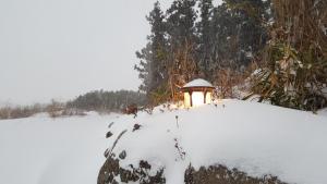 济州市Gyorae Drive-in Motel的雪覆盖的地表上的光