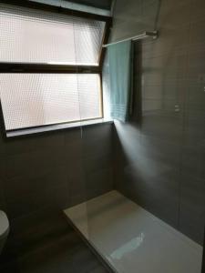 波瓦-迪瓦尔津Beach House的浴室设有玻璃淋浴间和窗户