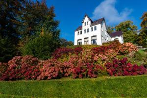 龙塞Boeckhaege vakantiewoning的一座花朵满山的白色房子