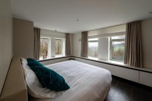 龙塞Boeckhaege vakantiewoning的一间卧室设有一张大床和两个窗户。