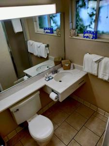 盐湖城大都会盐湖城酒店的一间带水槽、卫生间和镜子的浴室