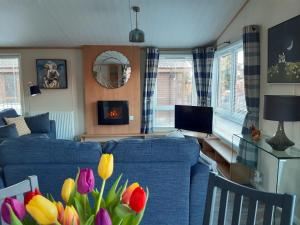 奥赫特拉德Sycamore Lodge Auchterarder的客厅配有蓝色的沙发和鲜花