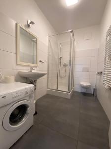 圣迈克尔隆高Lungau Living Appartements - Penthouse的一间带洗衣机和水槽的浴室