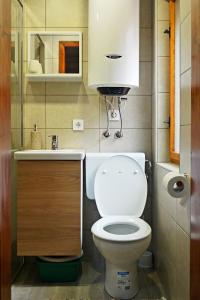 耶塞尼采Hiša Pr Valter的一间带卫生间和水槽的小浴室