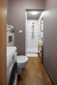 兹戈热莱茨Blick Apartments - Riverview Studio Apartment的一间带卫生间和洗衣机的浴室