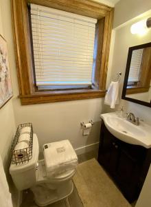 里士满Cozy Historic Family Home in the Heart of Richmond的一间带卫生间、水槽和窗户的浴室