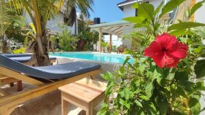 帕杰Nakupenda paje villa的一个带长凳、红花和游泳池的庭院