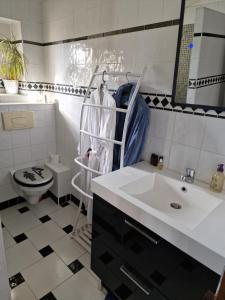 德拉吉尼昂Le Mas du Sud的白色的浴室设有水槽和卫生间。