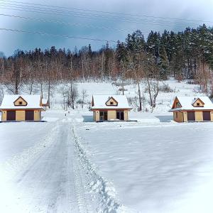 米卢夫卡Domki Na Szlaku的一片雪覆盖的田野,有房子和道路