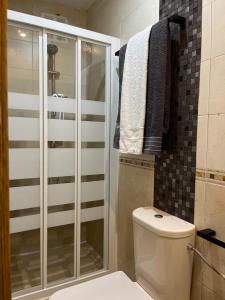马德里Coqueto apartamento muy céntrico的带淋浴、卫生间和毛巾的浴室