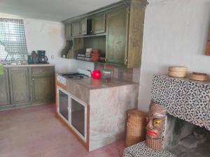 CuauhtémocBeautiful Rustic Cottage Adobe, Rancho El Payasito的厨房配有绿色橱柜和炉灶。 顶部烤箱