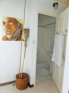 MicoudSelen's Apartment in Ti Rocher Micoud Saint Lucia的浴室装饰有一幅画画