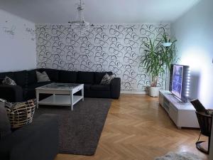 卢德维卡Säfsen Stay的客厅配有黑色沙发和电视