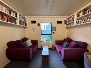 基督城环游世界背包客旅馆的书架房间里两张紫色的沙发