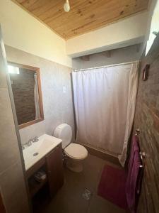 波特雷里约斯Casa Azul的一间带卫生间、水槽和镜子的浴室