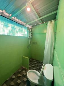 象岛LONELY GROOVE的绿色浴室设有卫生间和淋浴。