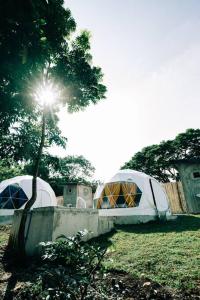 LuboFamily Dome Glamping in Rizal with Private Hotspring的一群在田野里树的帐篷