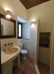 安德罗斯Pure Nature House的一间带水槽、卫生间和镜子的浴室