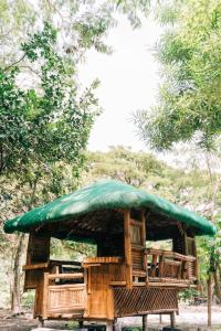 LuboCozy Dome Glamping w/ Private Hot Spring (2pax)的森林中带绿色屋顶的小屋