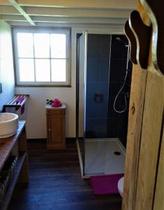 AttreLa cabane du cerf et son sauna的带淋浴和盥洗盆的浴室