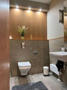 尤尔马拉Jurmala Lux Apartments - Seaside的一间带卫生间和水槽的浴室