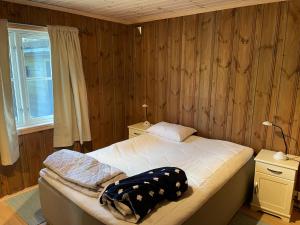 弗罗达尔Vrådal Golf Park的一间卧室设有一张床和一个窗口