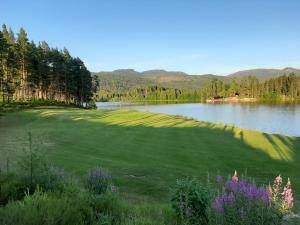 弗罗达尔Vrådal Golf Park的一座以湖泊和山脉为背景的高尔夫球场