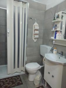 卡塔尼亚la locanda del centro storico的浴室配有卫生间、淋浴和盥洗盆。