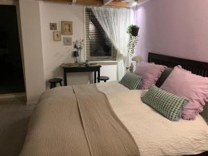 菲赫特B&B Vintage Room的一间卧室配有一张大床,配有粉色和绿色的枕头
