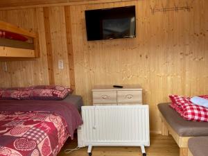 海明an der GEIERWAND的一间卧室设有两张床,墙上配有电视。