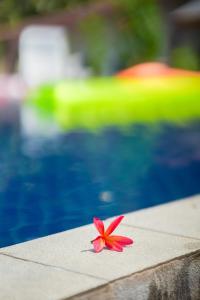 皮皮岛皮皮舒适海滨度假酒店的游泳池旁的桌子上坐着粉红色的花朵