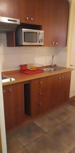 圣地亚哥VIP Apartments Chile的厨房配有微波炉和水槽