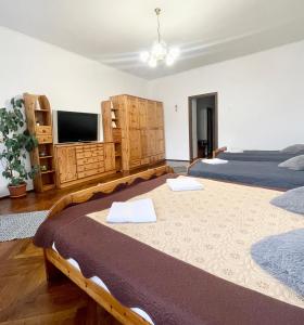 锡比乌Alex Com的一间卧室配有两张床和一台平面电视