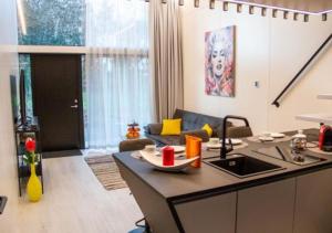 赫尔布兰茨TINY 4 YOU - Ihre stilvollen TINY-Häuser am Bodensee的厨房以及带水槽和台面的客厅。