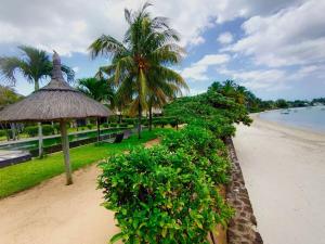 格兰贝伊Grand Baie Villa des amis sur la plage.的一片带稻草伞、树木和水的海滩