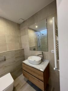 巴塞罗那巴塞罗那公寓 - 伊比利亚的一间带水槽、卫生间和镜子的浴室