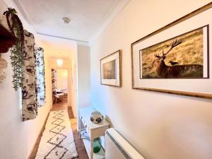 利明顿帕斯福德豪斯酒店的墙上有两张鹿的照片的走廊