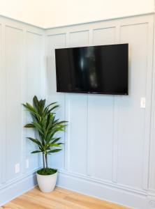 史普林维尔Suite 3 Historic Art City Inn的客厅里墙上的电视机,有植物