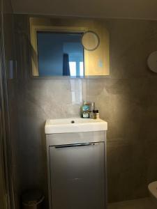 利明顿温泉Terrace House的浴室设有白色水槽和镜子