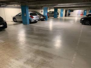 鲁昂80m2-Maison des quais - parking - jardinet的车库内有车辆停放