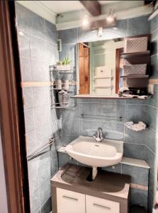 梅塔比耶Refuge de l'Ecureuil的一间带水槽和镜子的浴室