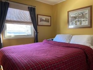 ElizabethDerinda House的一间卧室配有一张带铺着地毯的床和窗户。