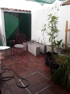 维森特洛佩斯PH cerca Río de la Plata, bares y cafes的一个带绿屏、椅子和植物的庭院