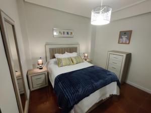 毕尔巴鄂Piso Bilbao San Mamés的一间卧室配有一张带蓝色毯子和2个床头柜的床