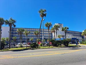 巴拿马城海滩戴斯巴拿马城海​​滩酒店的棕榈树建筑前的一条空街道