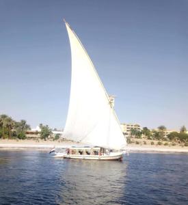 阿斯旺Nile Felucca Adventure的一条水面上带有白色帆的船