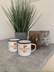 拉辛赫Castledarcy Glamping的三个咖啡杯坐在一个柜台上,上面有植物