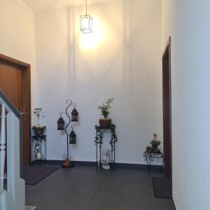波鸿Modernes Apartment 5 , 6 und 7 in Bochum的墙上挂着盆栽植物的走廊