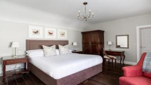 BallynahinchMillbrook Lodge的一间卧室配有一张大床和一张红色椅子